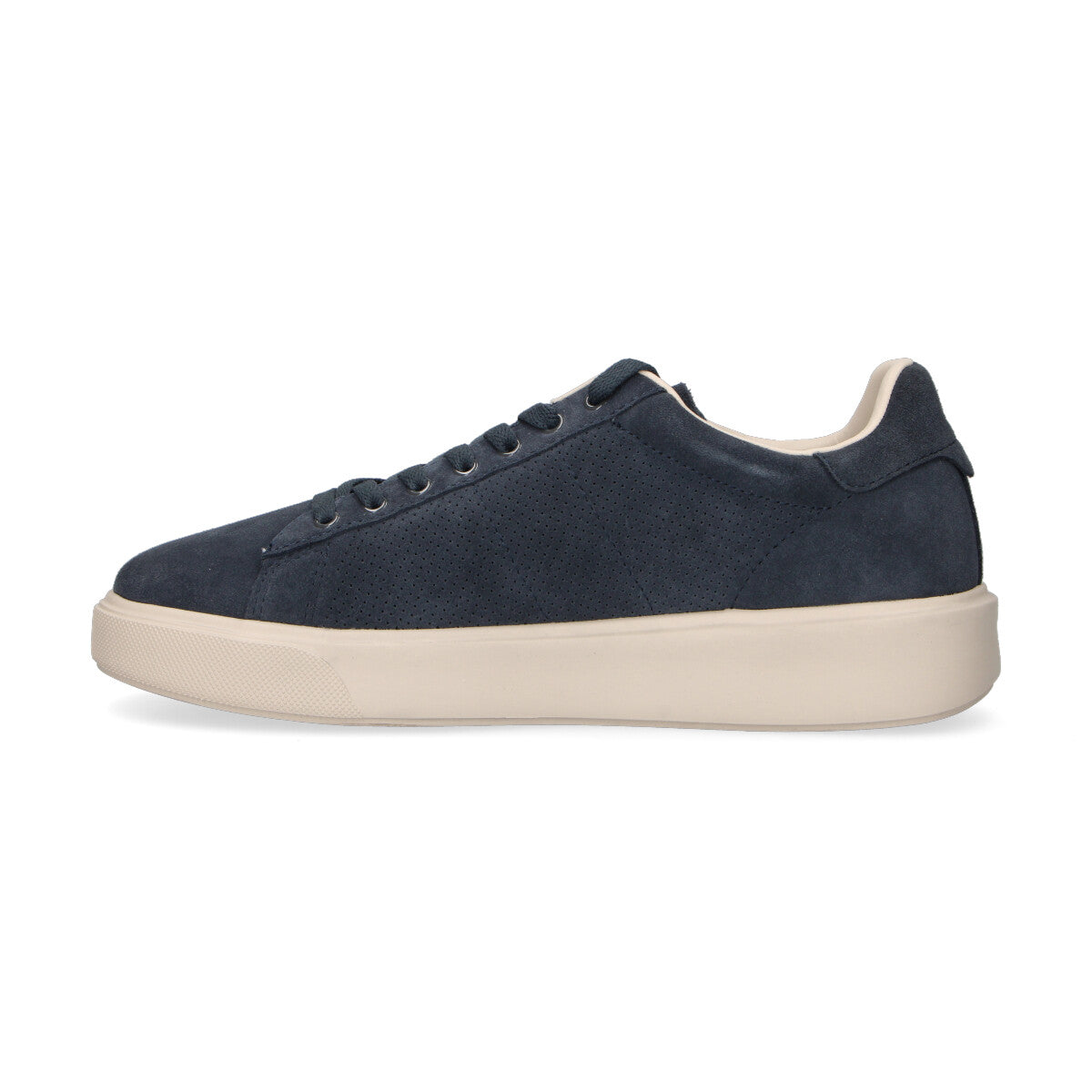 Blauer sneaker Buck in camoscio blu