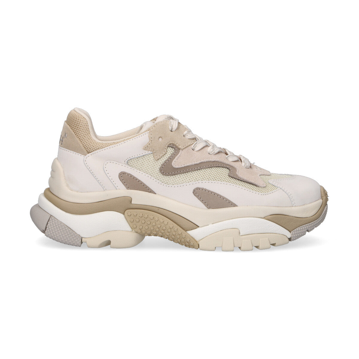 Ash sneaker Addict in camoscio beige