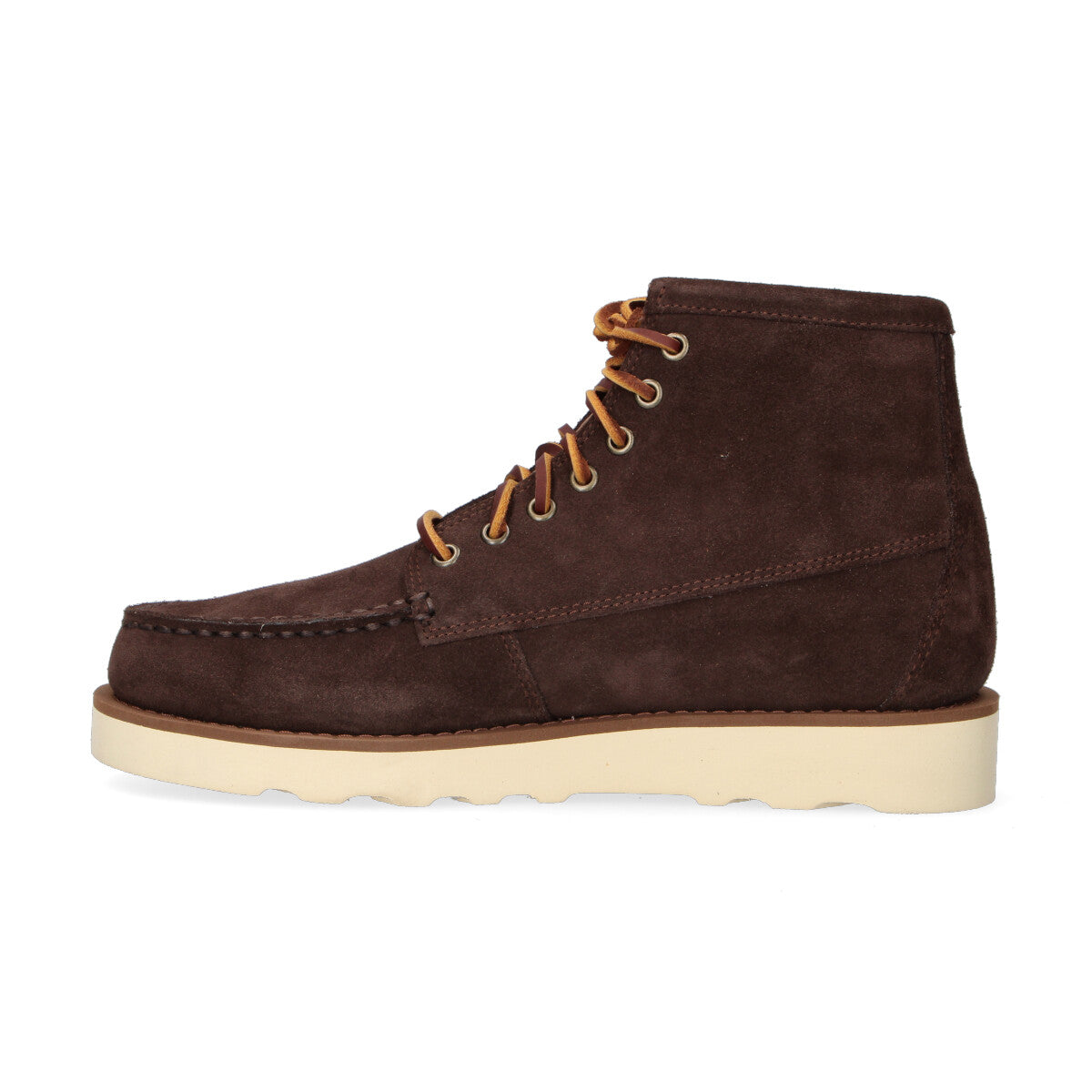 Sebago polacchino in camoscio testa di moro