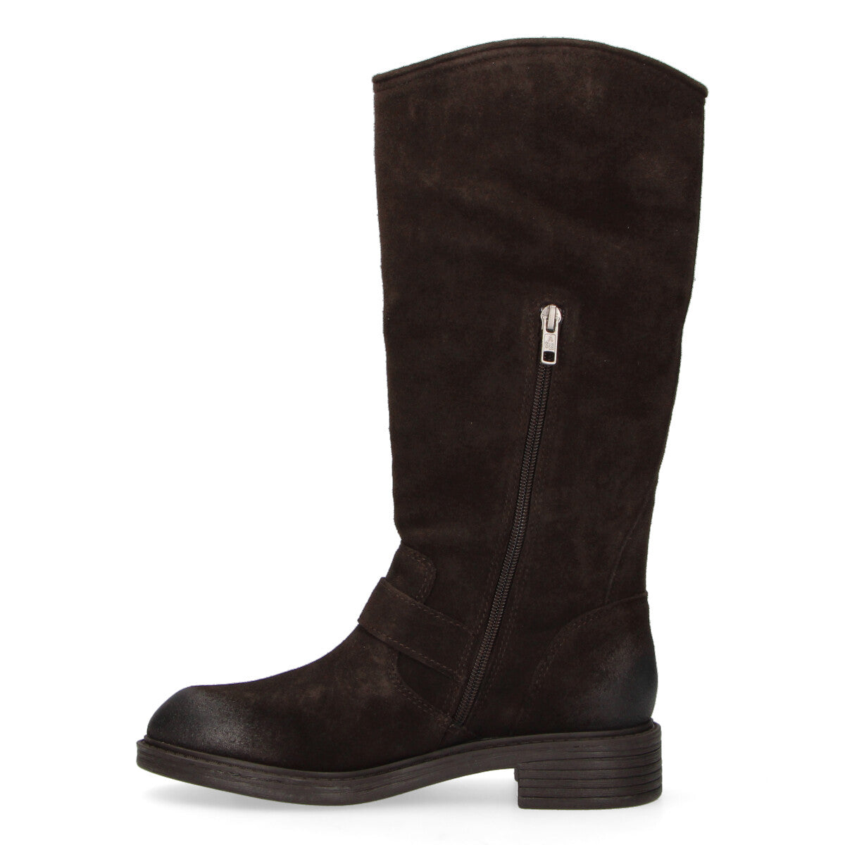 Ash stivale biker Freesia con fibbie in camoscio testa di moro