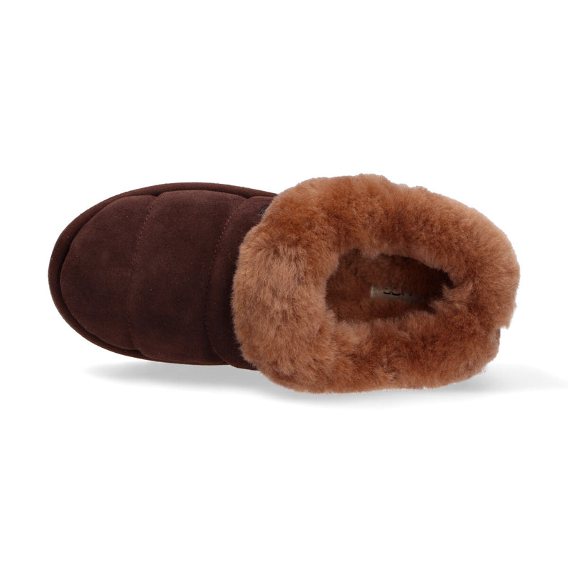 UGG Tazzlita camoscio marrone