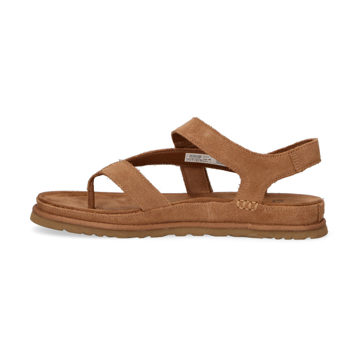Ugg sandalo infradito GoldenGaze camoscio chestnut
