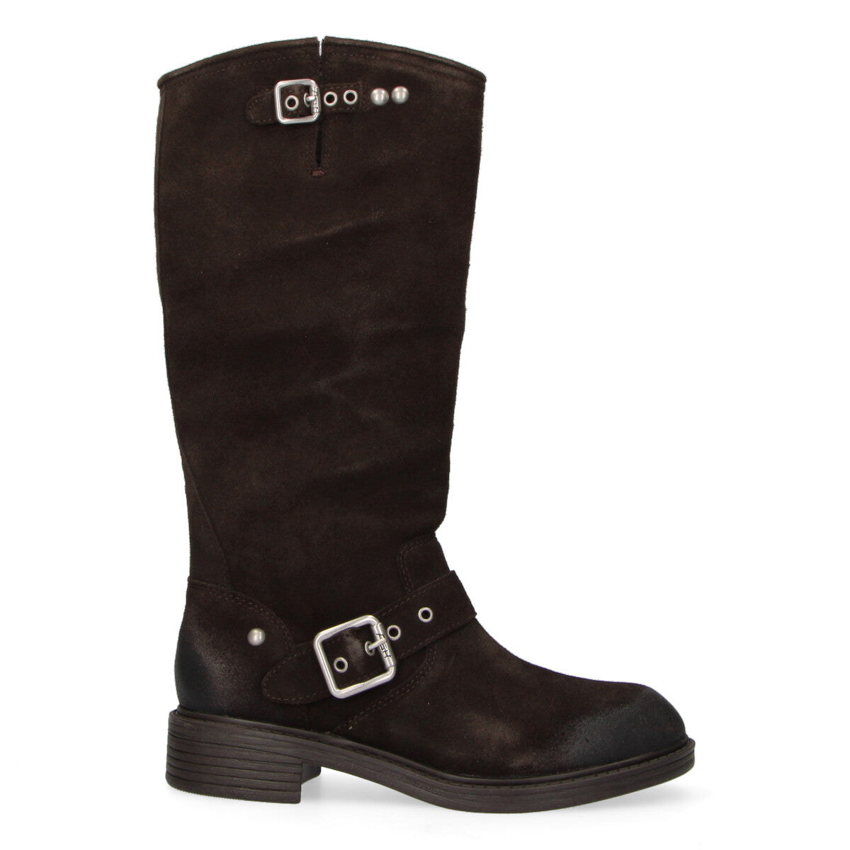 Ash stivale biker Freesia con fibbie in camoscio testa di moro