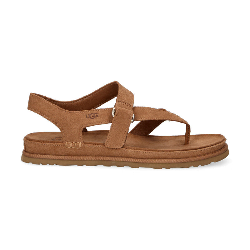 Ugg sandalo infradito GoldenGaze camoscio chestnut