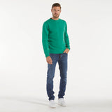 Daniele Fiesoli maglione girocollo lana verde