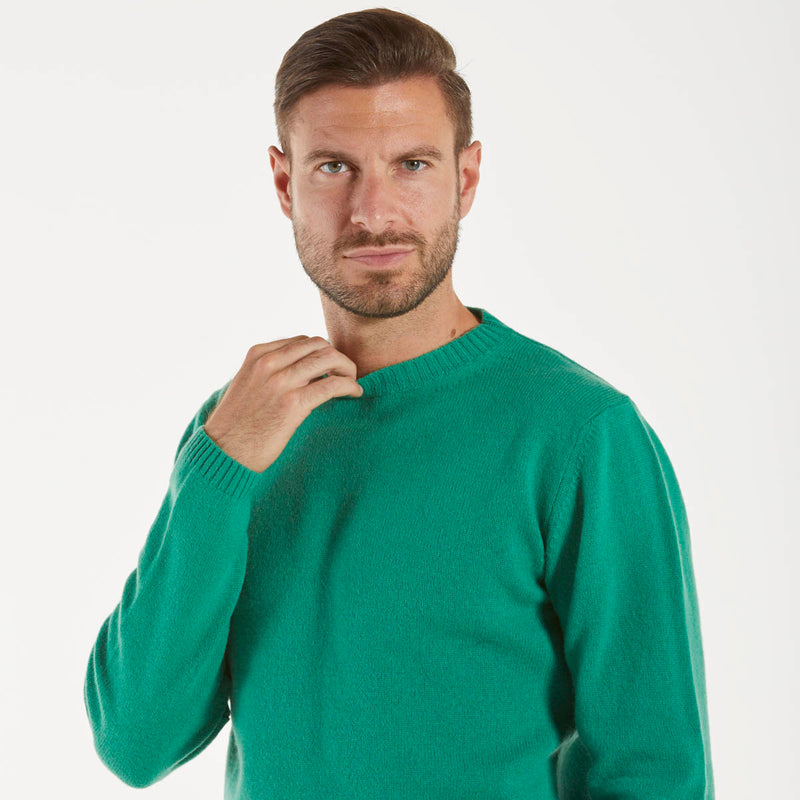 Daniele Fiesoli maglione girocollo lana verde