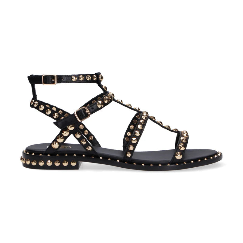 Ash sandalo Precious con borchie pelle nera