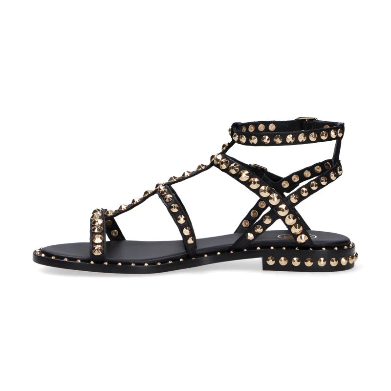 Ash sandalo Precious con borchie pelle nera