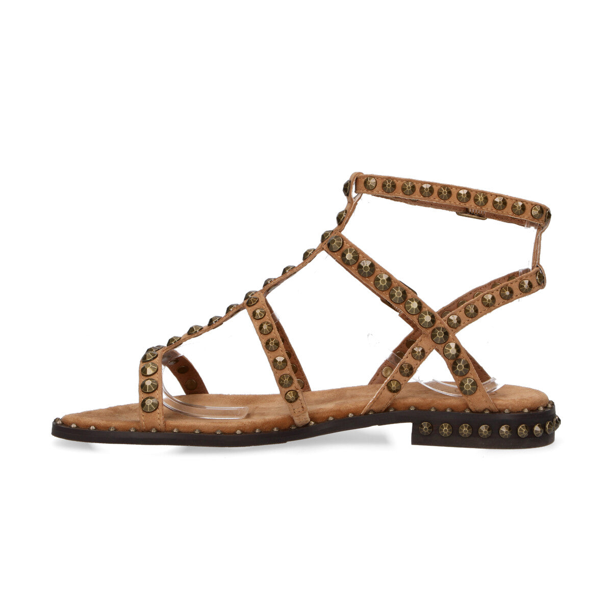 Ash sandalo Precious con borchie camoscio moka mou