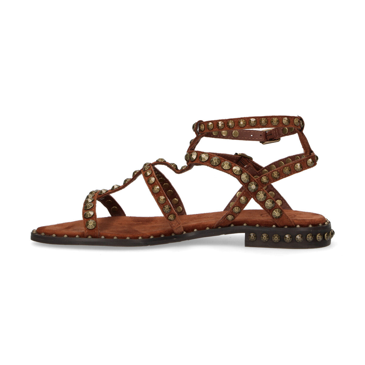 Ash sandalo Precious in camoscio cuoio