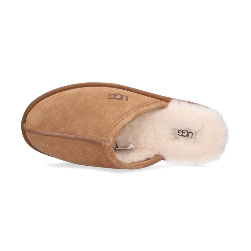 UGG ciabatta modello Scuff cuoio